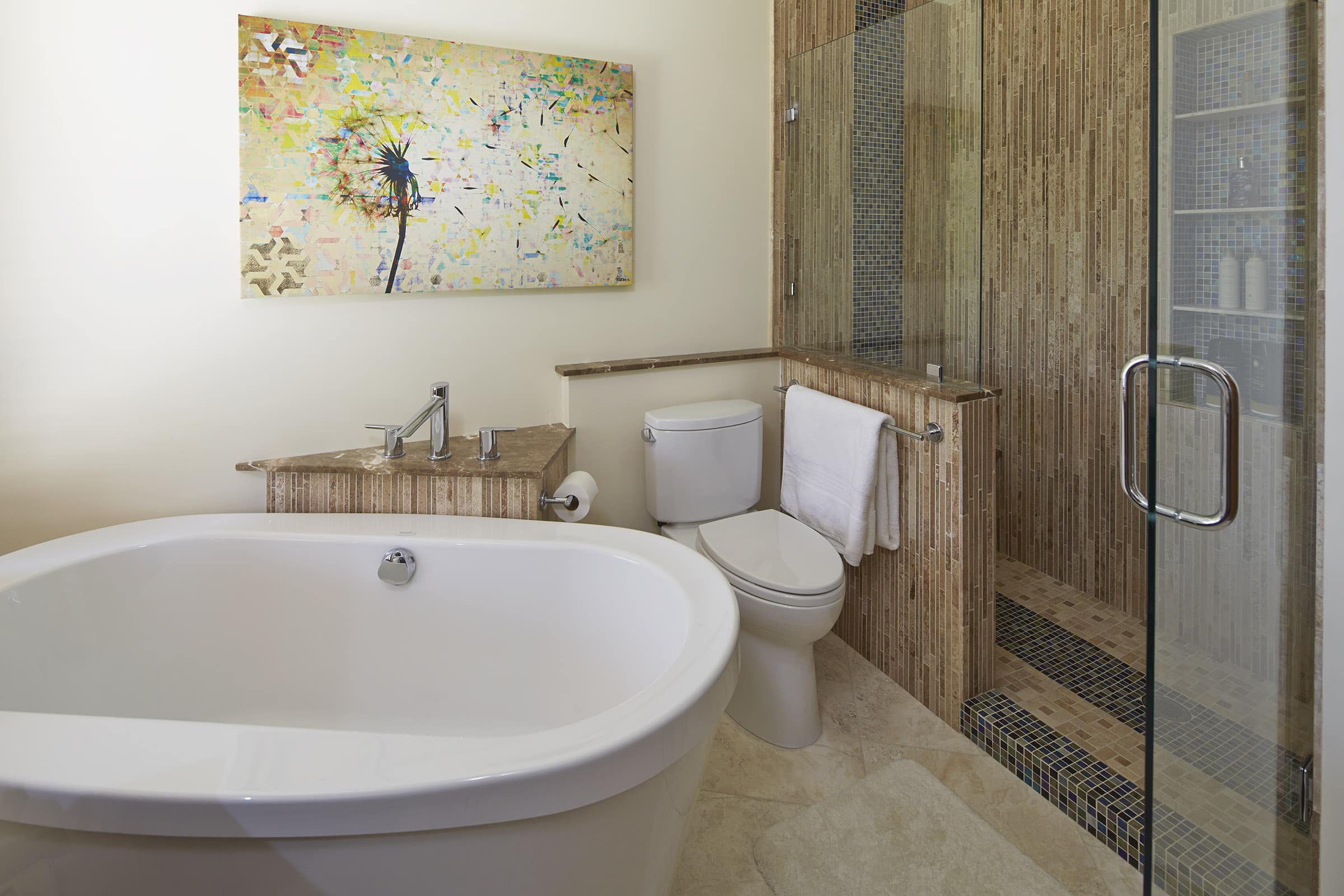 Master-bath-1 Bathroom Designer Saint Paul